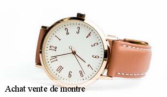 Achat vente de montre  curbans-05110 Artisan Horloger Destrich