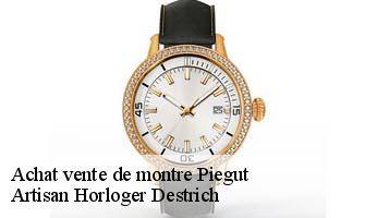 Achat vente de montre  piegut-05130 Artisan Horloger Destrich