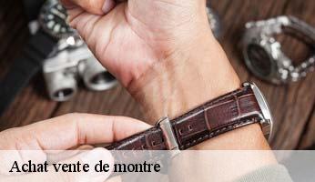 Achat vente de montre  abries-05460 Artisan Horloger Destrich
