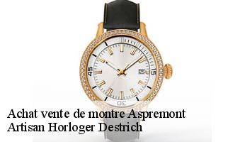 Achat vente de montre  aspremont-05140 Artisan Horloger Destrich