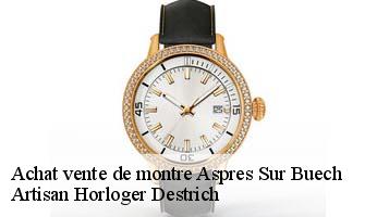 Achat vente de montre  aspres-sur-buech-05140 Artisan Horloger Destrich