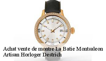 Achat vente de montre  la-batie-montsaleon-05700 Artisan Horloger Destrich