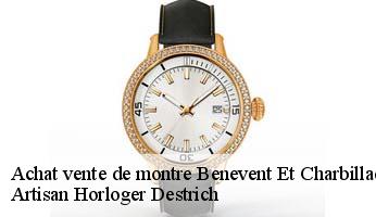 Achat vente de montre  benevent-et-charbillac-05500 Artisan Horloger Destrich