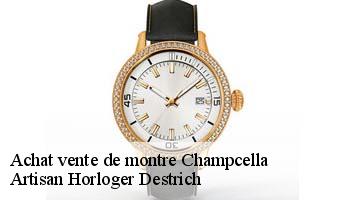 Achat vente de montre  champcella-05310 Artisan Horloger Destrich