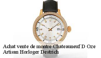 Achat vente de montre  chateauneuf-d-oze-05400 Artisan Horloger Destrich