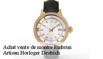 Achat vente de montre  embrun-05200 Artisan Horloger Destrich
