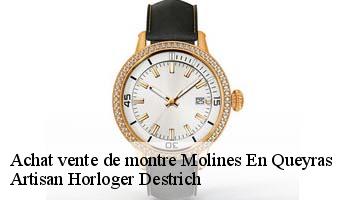 Achat vente de montre  molines-en-queyras-05350 Artisan Horloger Destrich