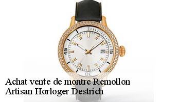 Achat vente de montre  remollon-05190 Artisan Horloger Destrich