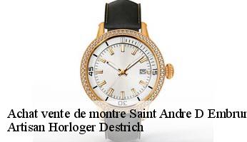 Achat vente de montre  saint-andre-d-embrun-05200 Artisan Horloger Destrich