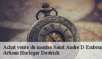 Achat vente de montre  saint-andre-d-embrun-05200 Artisan Horloger Destrich