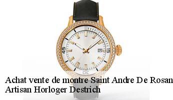 Achat vente de montre  saint-andre-de-rosans-05150 Artisan Horloger Destrich