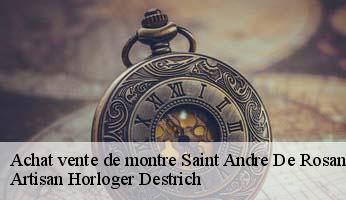 Achat vente de montre  saint-andre-de-rosans-05150 Artisan Horloger Destrich