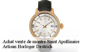 Achat vente de montre  saint-apollinaire-05160 Artisan Horloger Destrich