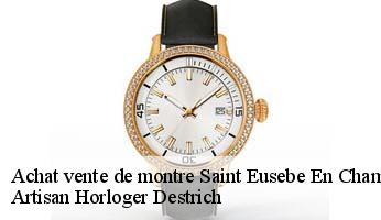 Achat vente de montre  saint-eusebe-en-champsaur-05500 Artisan Horloger Destrich