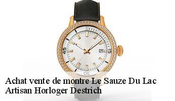 Achat vente de montre  le-sauze-du-lac-05160 Artisan Horloger Destrich