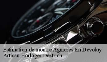 Estimation de montre  agnieres-en-devoluy-05250 Artisan Horloger Destrich