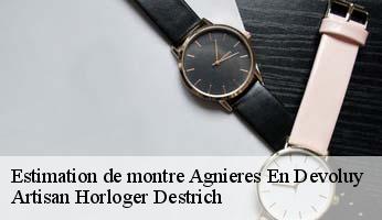 Estimation de montre  agnieres-en-devoluy-05250 Artisan Horloger Destrich