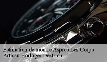 Estimation de montre  aspres-les-corps-05800 Artisan Horloger Destrich