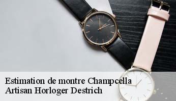 Estimation de montre  champcella-05310 Artisan Horloger Destrich