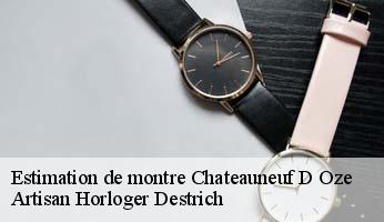 Estimation de montre  chateauneuf-d-oze-05400 Artisan Horloger Destrich