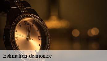 Estimation de montre  chateauvieux-05000 Artisan Horloger Destrich