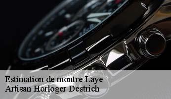 Estimation de montre  laye-05500 Artisan Horloger Destrich
