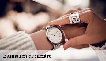 Estimation de montre  saint-martin-de-queyriere-05120 Artisan Horloger Destrich