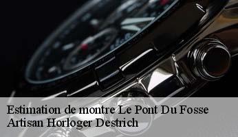 Estimation de montre  le-pont-du-fosse-05260 Artisan Horloger Destrich