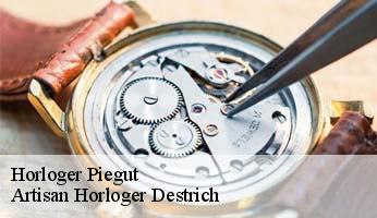 Horloger  piegut-05130 Artisan Horloger Destrich