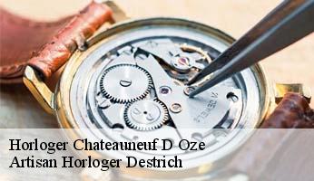 Horloger  chateauneuf-d-oze-05400 Artisan Horloger Destrich