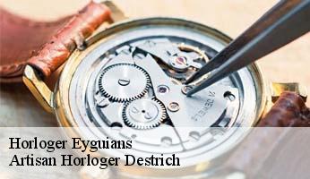 Horloger  eyguians-05300 Artisan Horloger Destrich