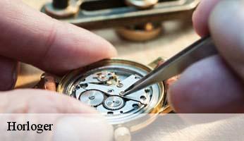Horloger  villar-saint-pancrace-05100 Artisan Horloger Destrich
