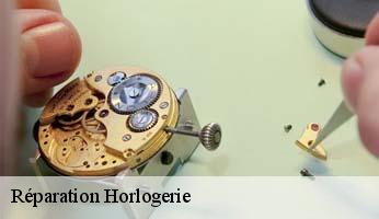 Réparation Horlogerie  arvieux-05350 Artisan Horloger Destrich
