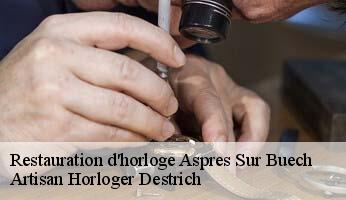 Restauration d'horloge  aspres-sur-buech-05140 Artisan Horloger Destrich