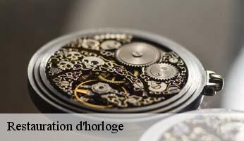 Restauration d'horloge  crevoux-05200 Artisan Horloger Destrich