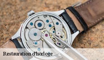 Restauration d'horloge  montclus-05700 Artisan Horloger Destrich