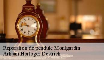 Réparation de pendule  montgardin-05230 Artisan Horloger Destrich