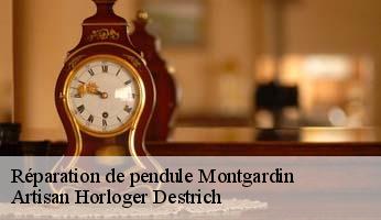 Réparation de pendule  montgardin-05230 Artisan Horloger Destrich