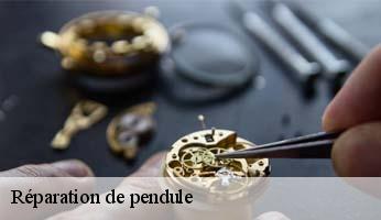 Réparation de pendule  saint-jean-saint-nicolas-05260 Artisan Horloger Destrich